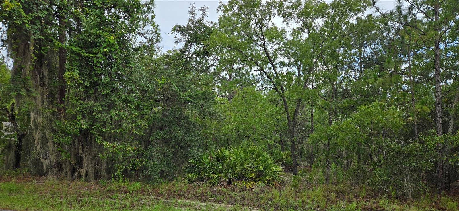 Lecanto, FL 34461,1308 N PROSPECT AVE