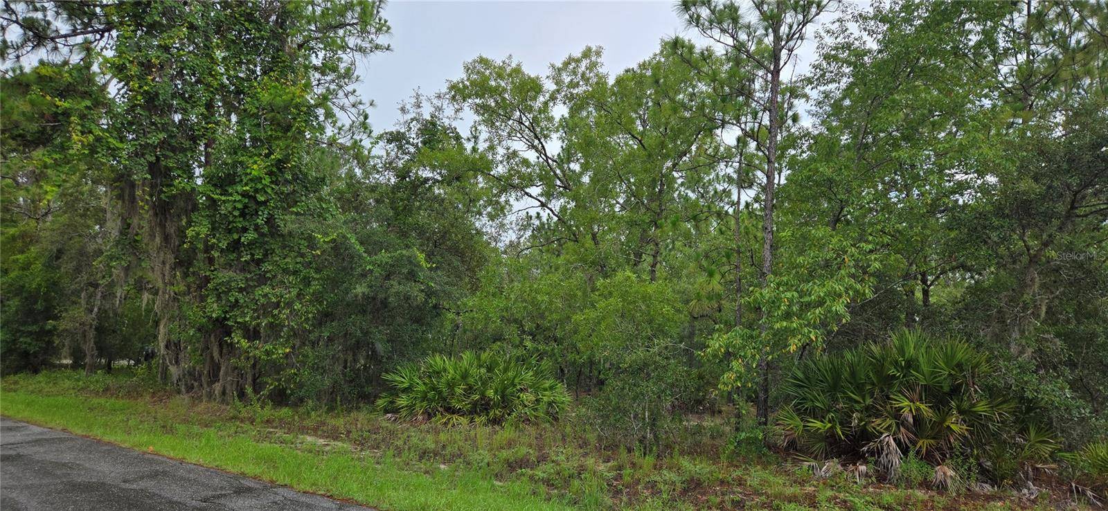 Lecanto, FL 34461,1308 N PROSPECT AVE