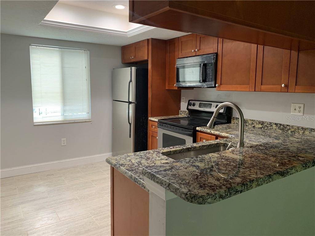 Oldsmar, FL 34677,208 PALMETTO CT #208