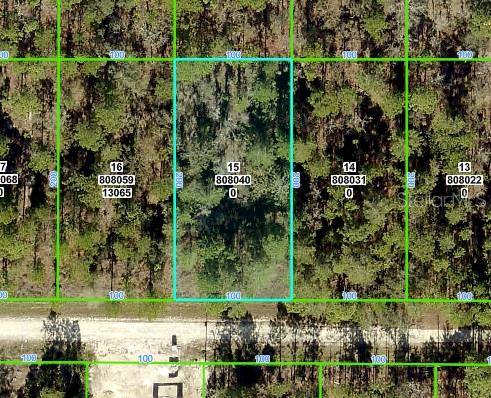 Weeki Wachee, FL 34614,13075 TINAMOU AVE