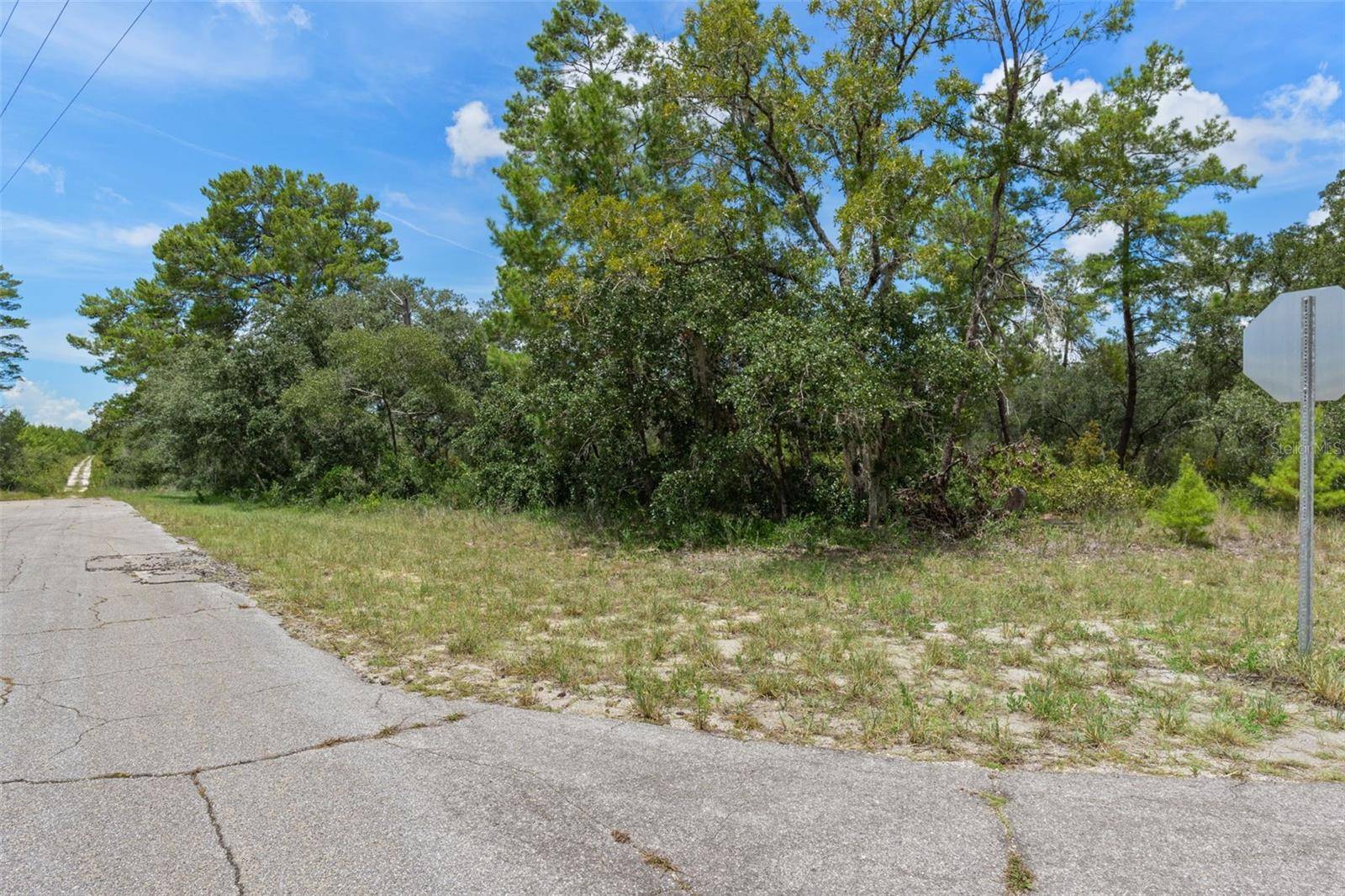 Citrus Springs, FL 34433,7964 N GATEWOOD DR