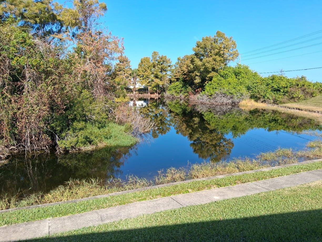 Hudson, FL 34667,7737 EUREKA DR #203