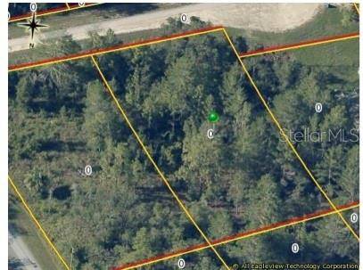 Weeki Wachee, FL 34614,0 DUNCAN