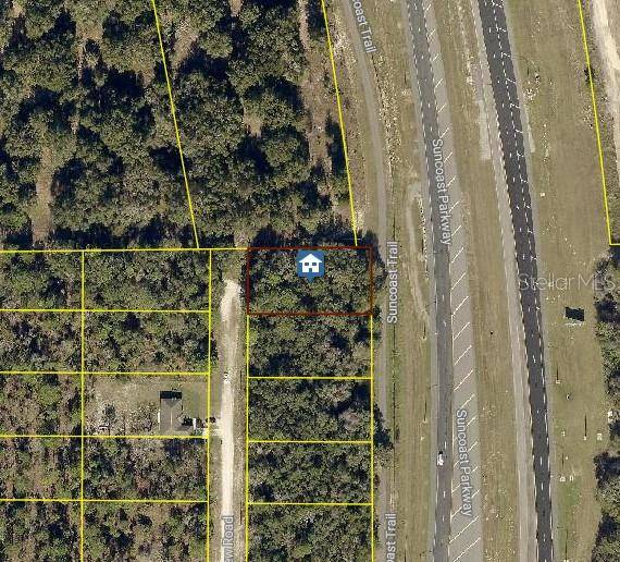 Weeki Wachee, FL 34614,LOT 1 CURLEW RD