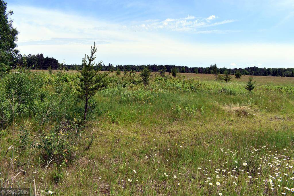 Pine River, MN 56474,L1 B2 Meadowlark LN