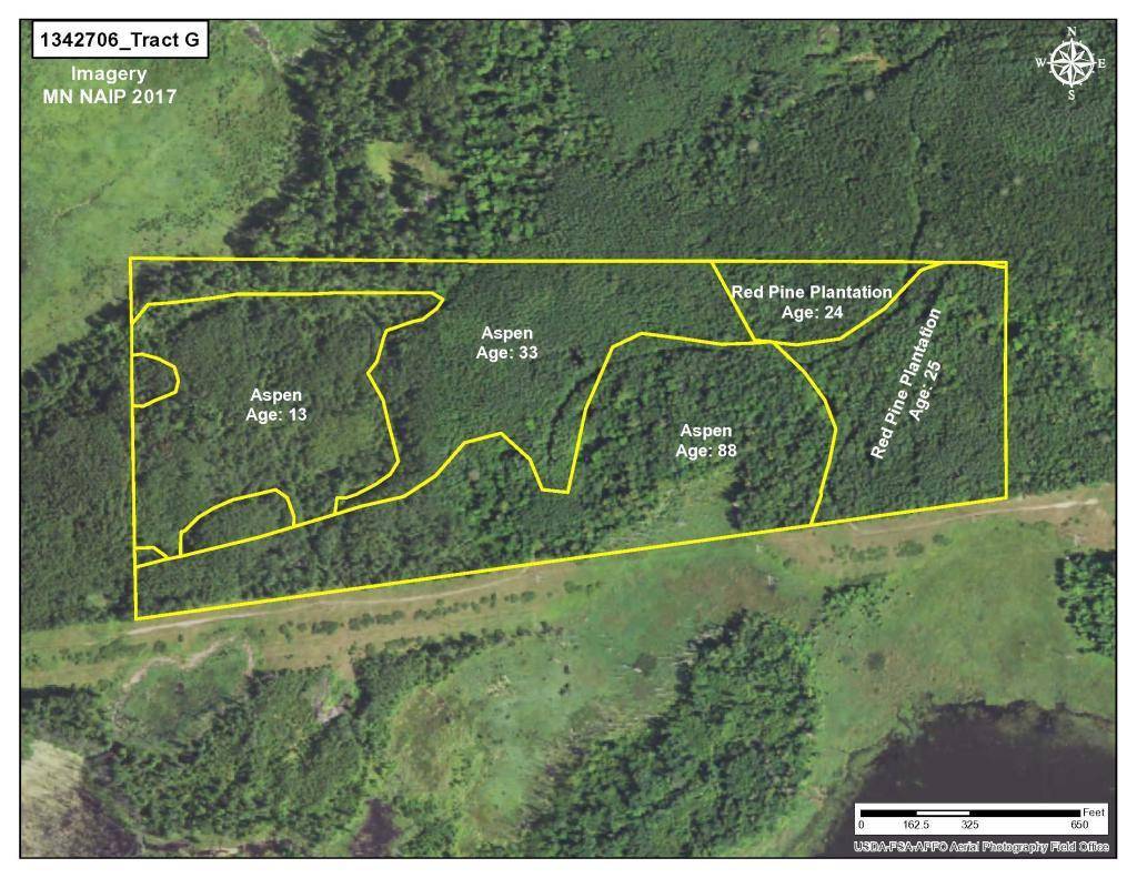 Center Twp, MN 56465,TBD  Sorenson Lk Rd