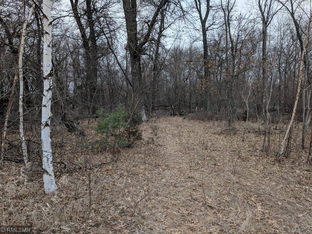 Oak Grove, MN 55303,Lot 2 Lake George BLVD