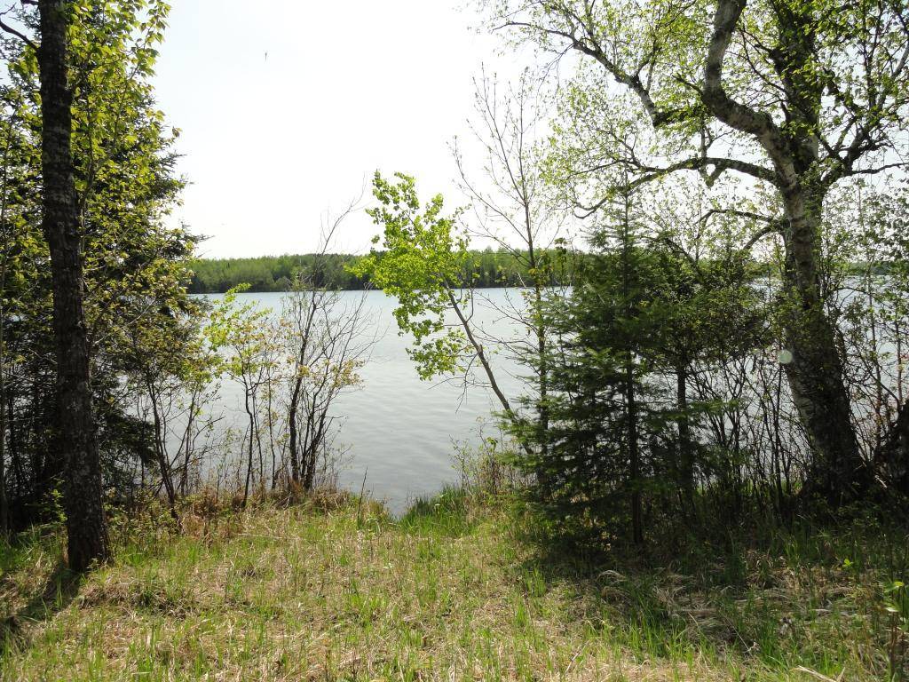 White Twp, MN 55705,xxxx Loon Lake RD