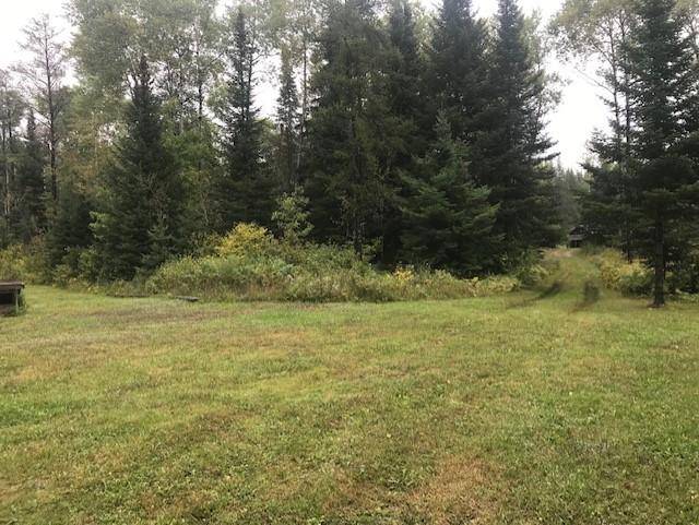 Bassett Twp, MN 55750,TBD Skibo