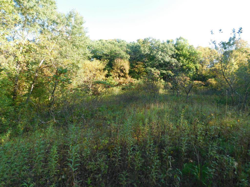 Hay River Twp, WI 54725,Lot 1 280th ST