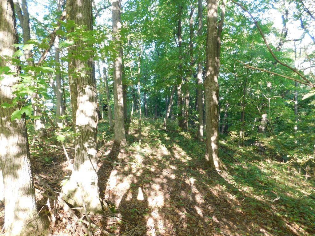 Hay River Twp, WI 54725,Lot 2 280th ST