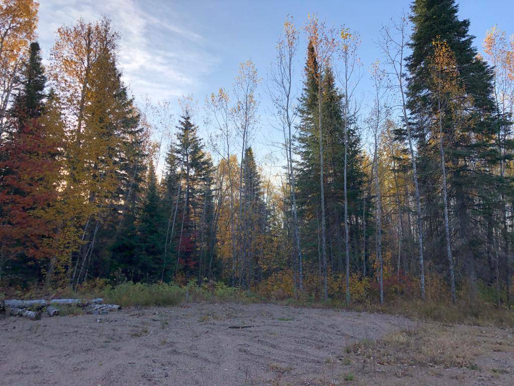 Buyck, MN 55771,xxx Crane Lake RD