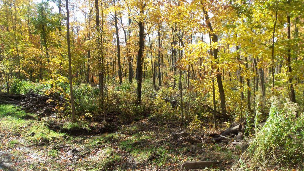 Saint Croix Falls, WI 54024,LOT 3 275TH ST