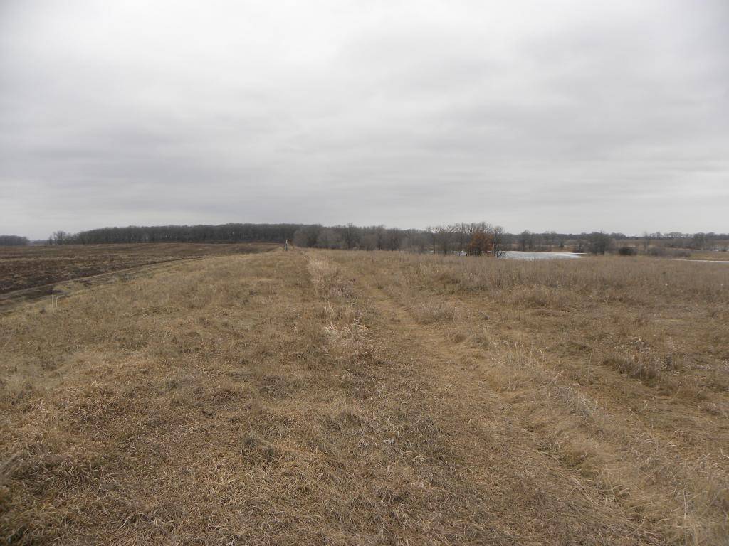 Parkers Prairie Twp, MN 56361,XXX County Road 42 RD