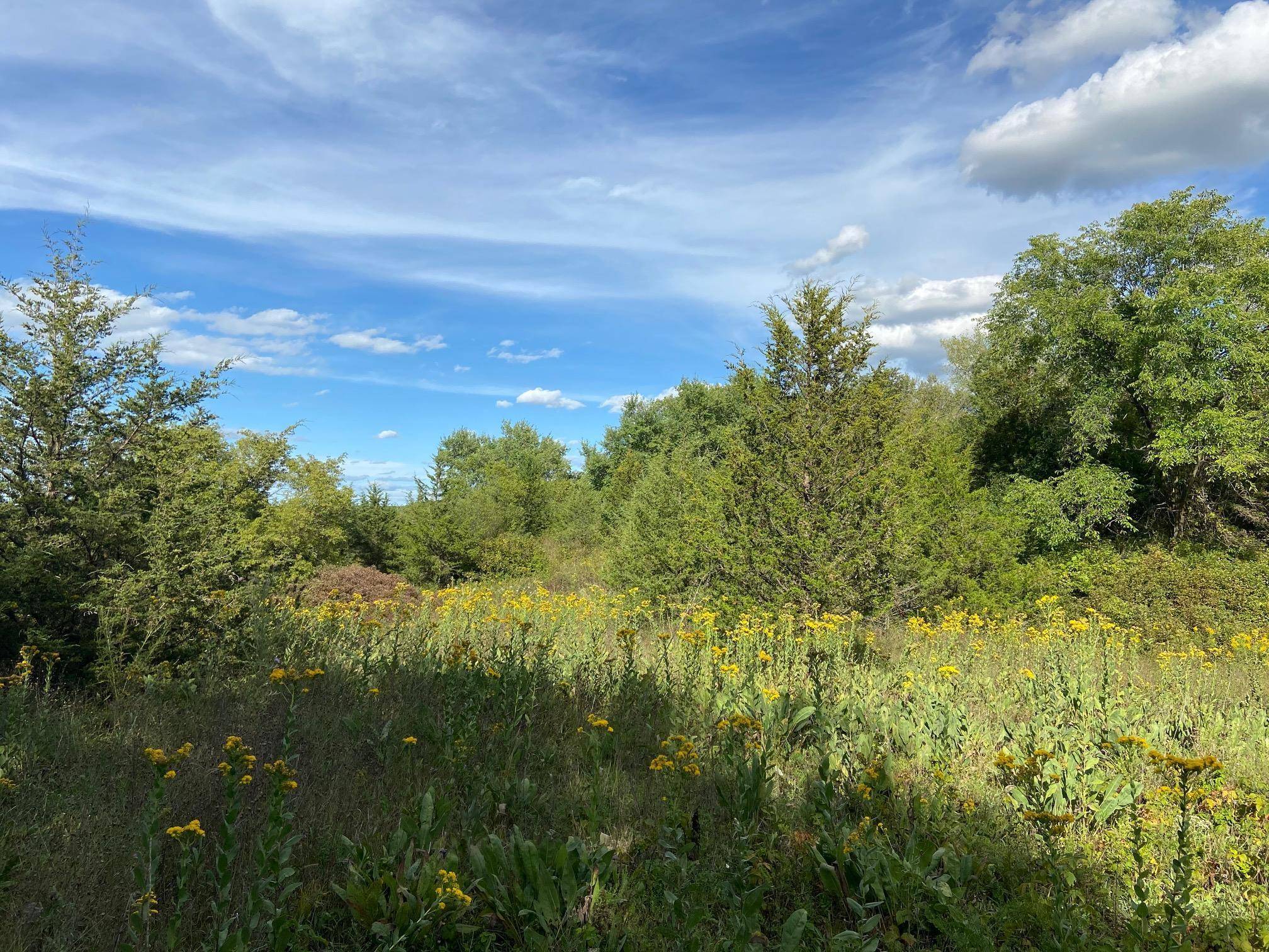 Somerset Twp, WI 54025,Lot 3 45th ST