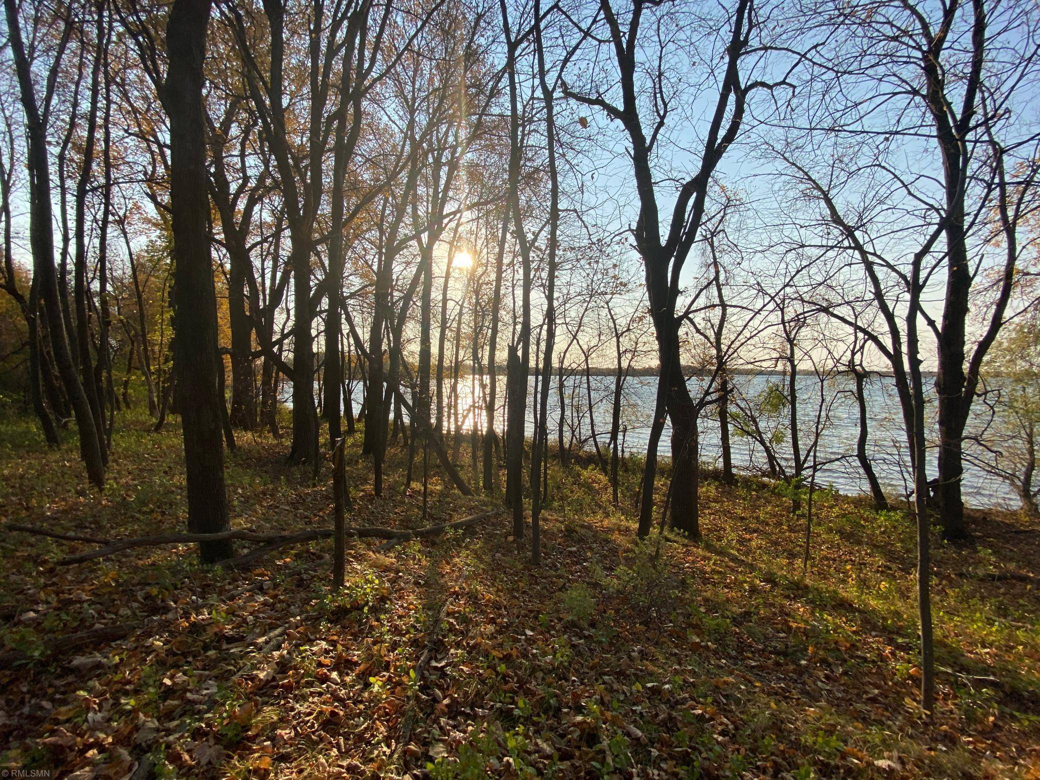 Fish Lake Twp, MN 55032,xxx Goose Lake Narrows