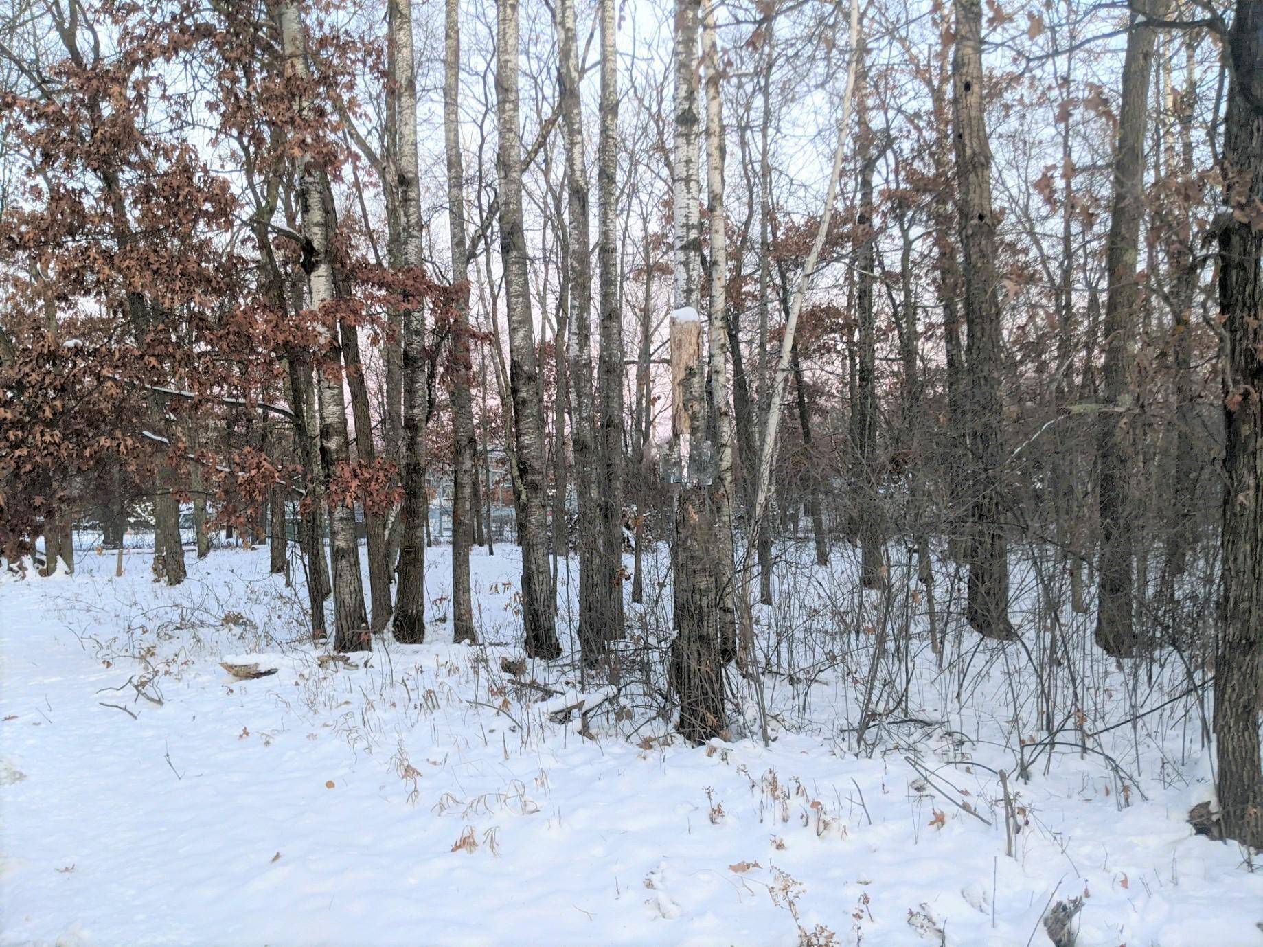 Breezy Point, MN 56472,Lot 20,21,22 Birch Lane