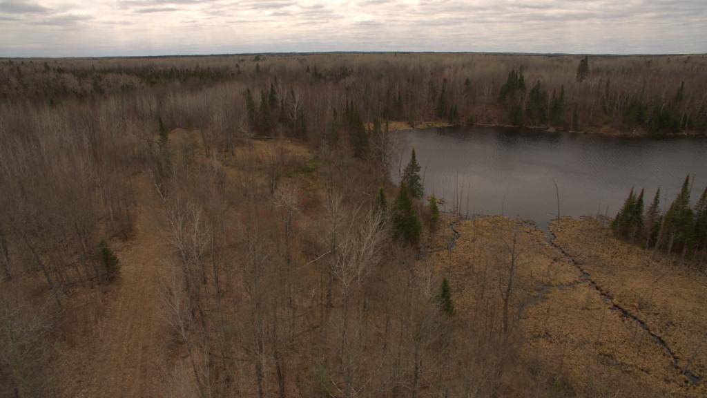 Bigfork, MN 56628,TBD Lot 4 Sugar Bush Trail