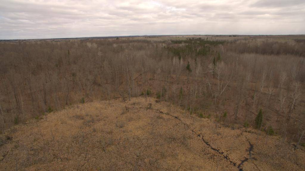 Bigfork, MN 56628,TBD Lot 5 Sugar Bush Trail