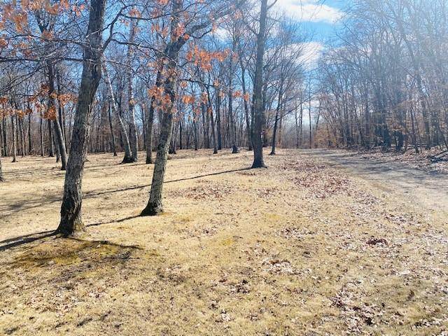 Breezy Point, MN 56472,TBD Beaver DR