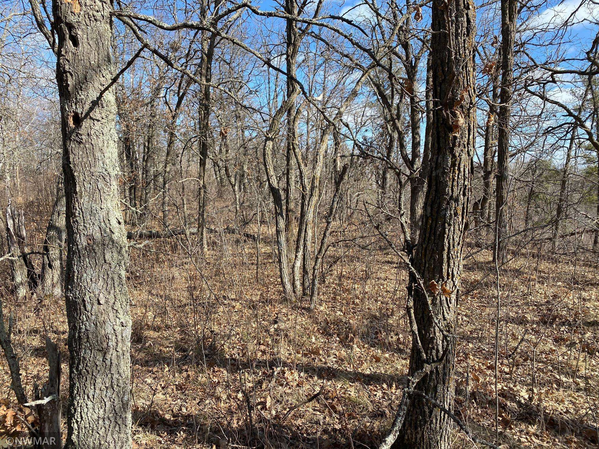 Bemidji, MN 56601,TBD (L8,B2) Goldfinch LN SW