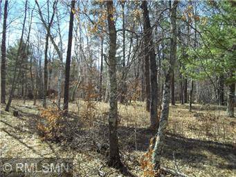 Breezy Point, MN 56472,XXX Orchid Lot 97