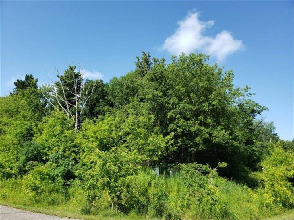 Walker, MN 56484,Lot 20 Waters Edge DR NW