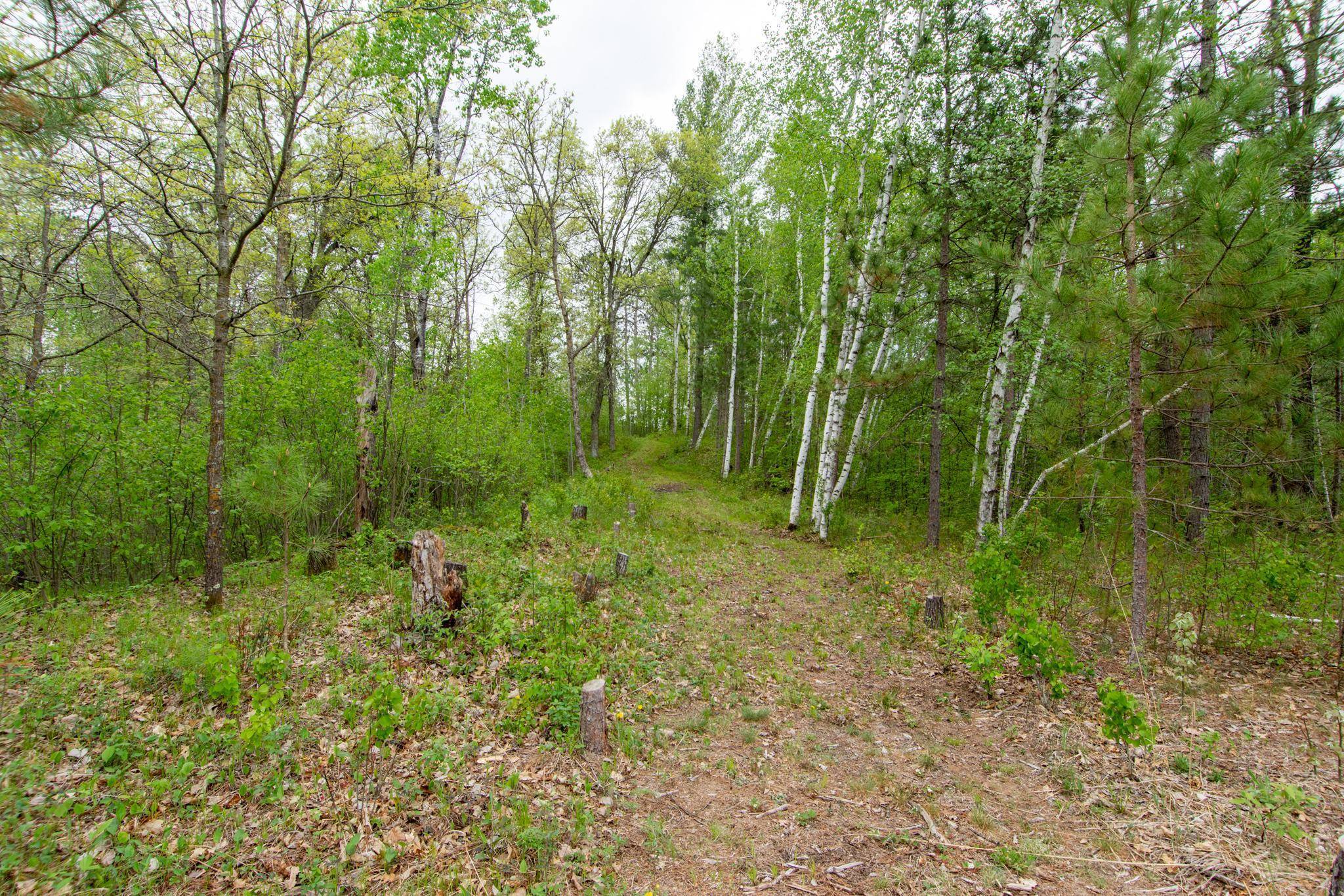 Fort Ripley, MN 56449,TBD St Mathias Rd