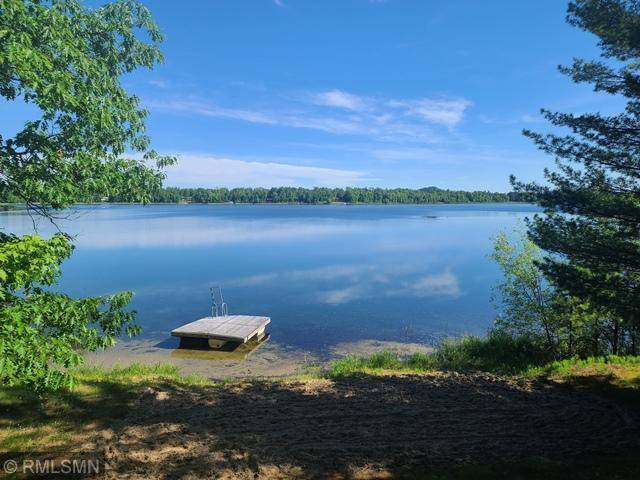 Deer River, MN 56636,42069 S Chase Lake RD