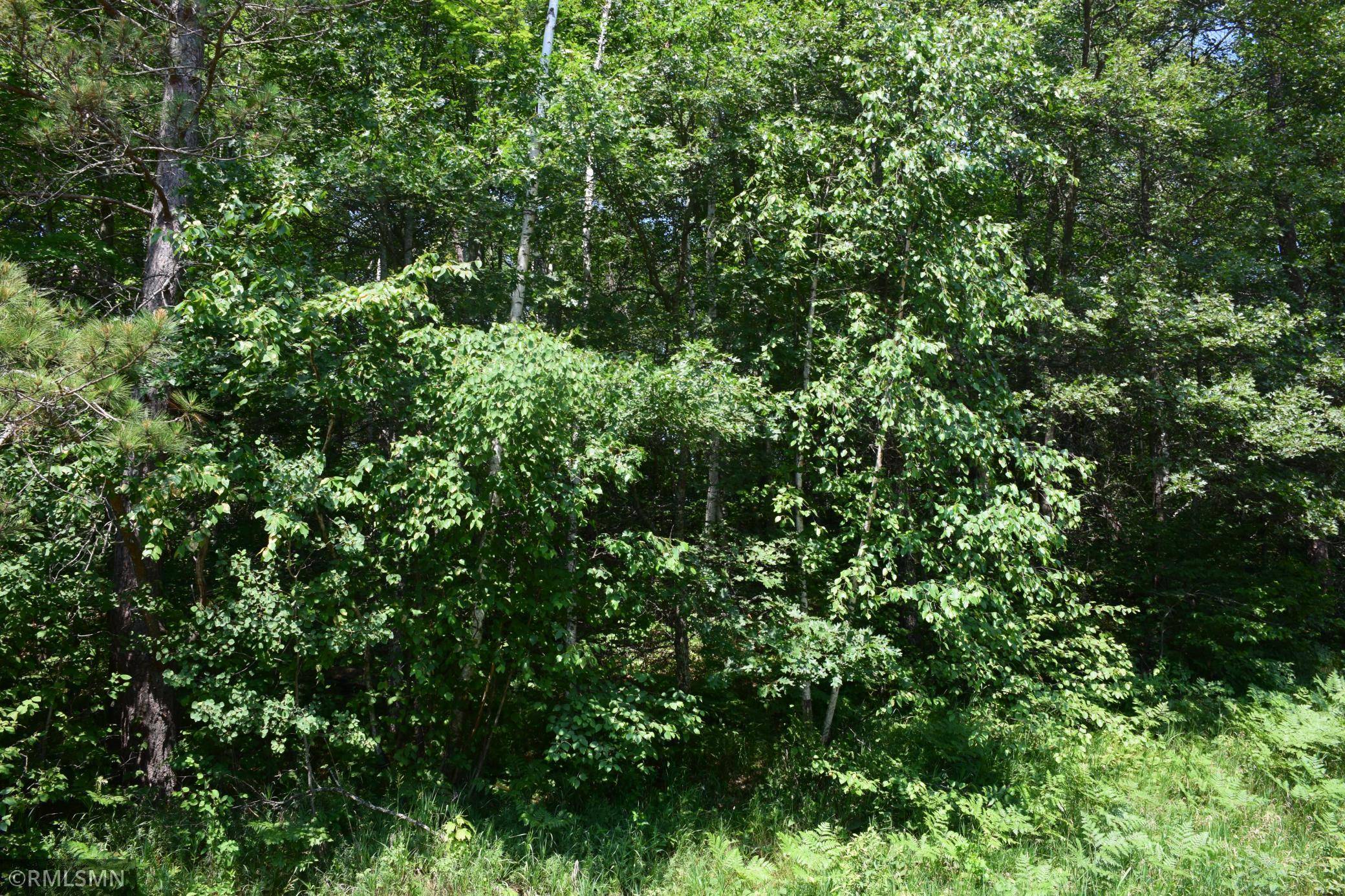 Breezy Point, MN 56472,Lot 51 Rainier Drive