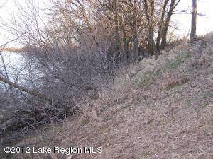 Dalton, MN 56324,Lot 3 N Sewell LN