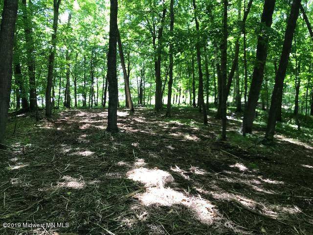 Candor Twp, MN 56587,Lot2 Blk1 Campfire RD