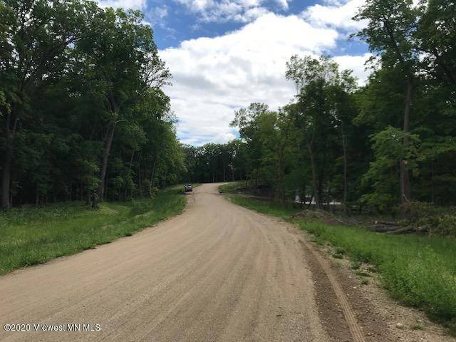 Candor Twp, MN 56587,Lot2 Blk2 Campfire RD