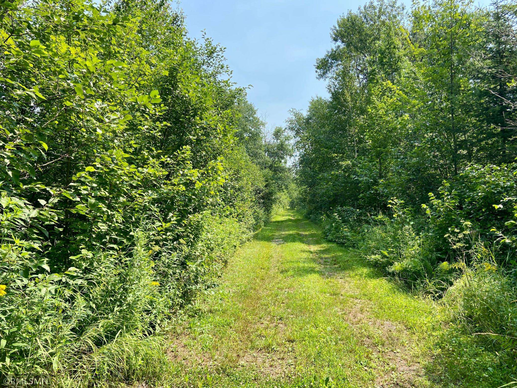 Clear Creek Unorg. Terr., MN 55749,XYZ West Center Road