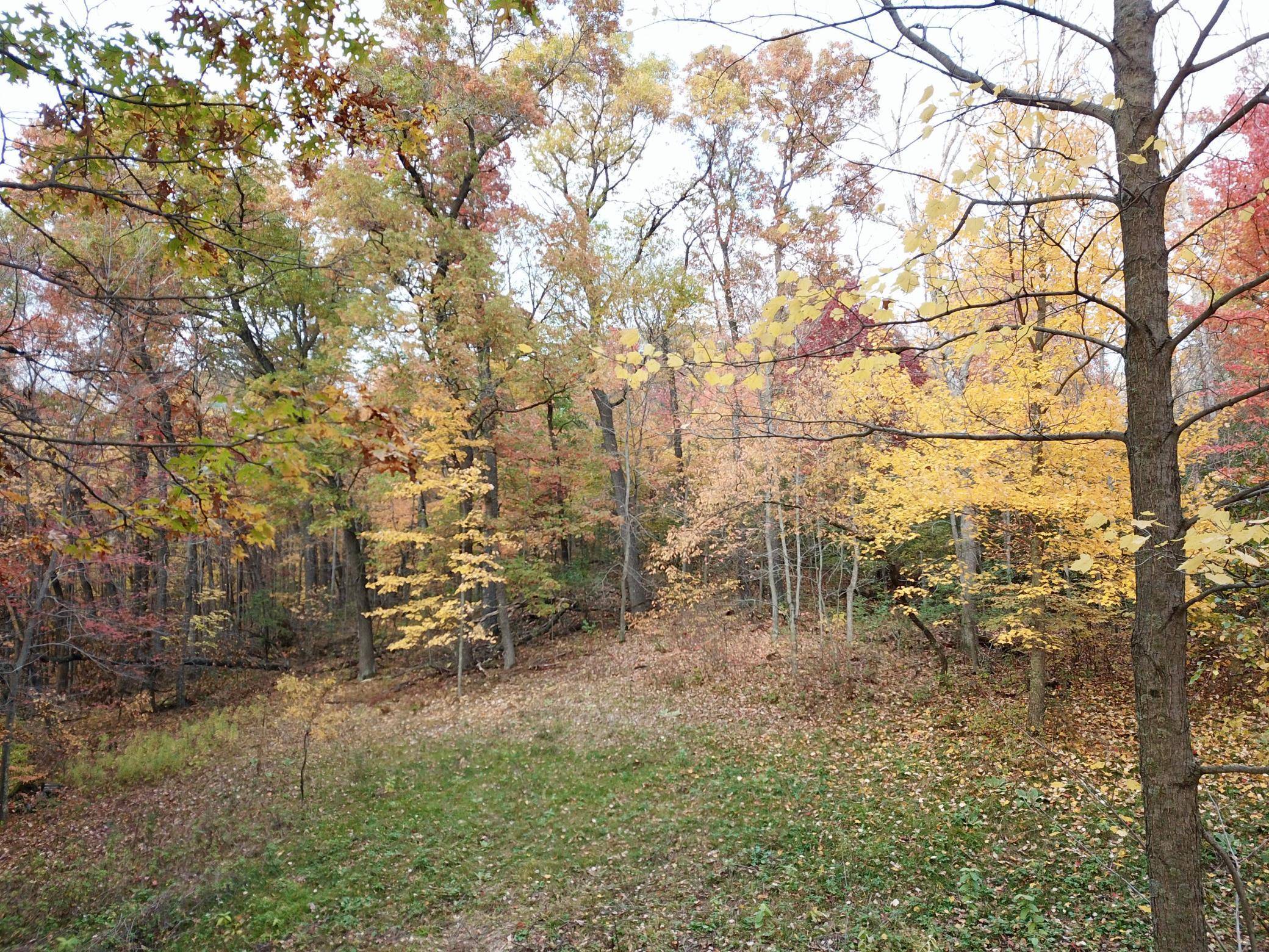 Osceola Twp, WI 54009,Lot 8 90th AVE