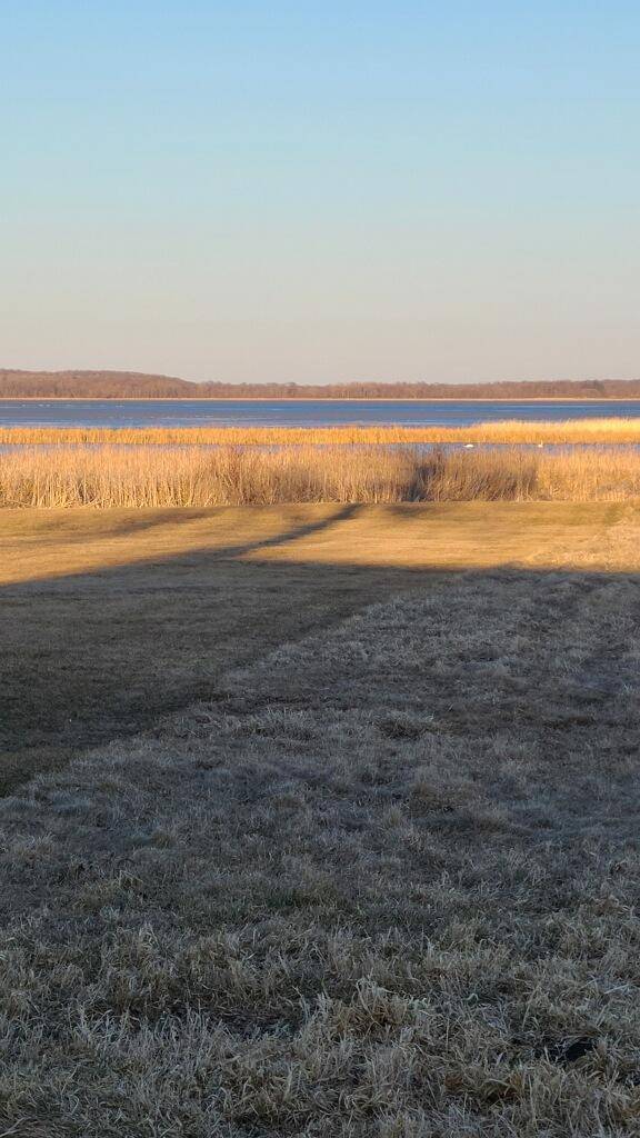 Osakis, MN 56360,17323 Ryan DR NE