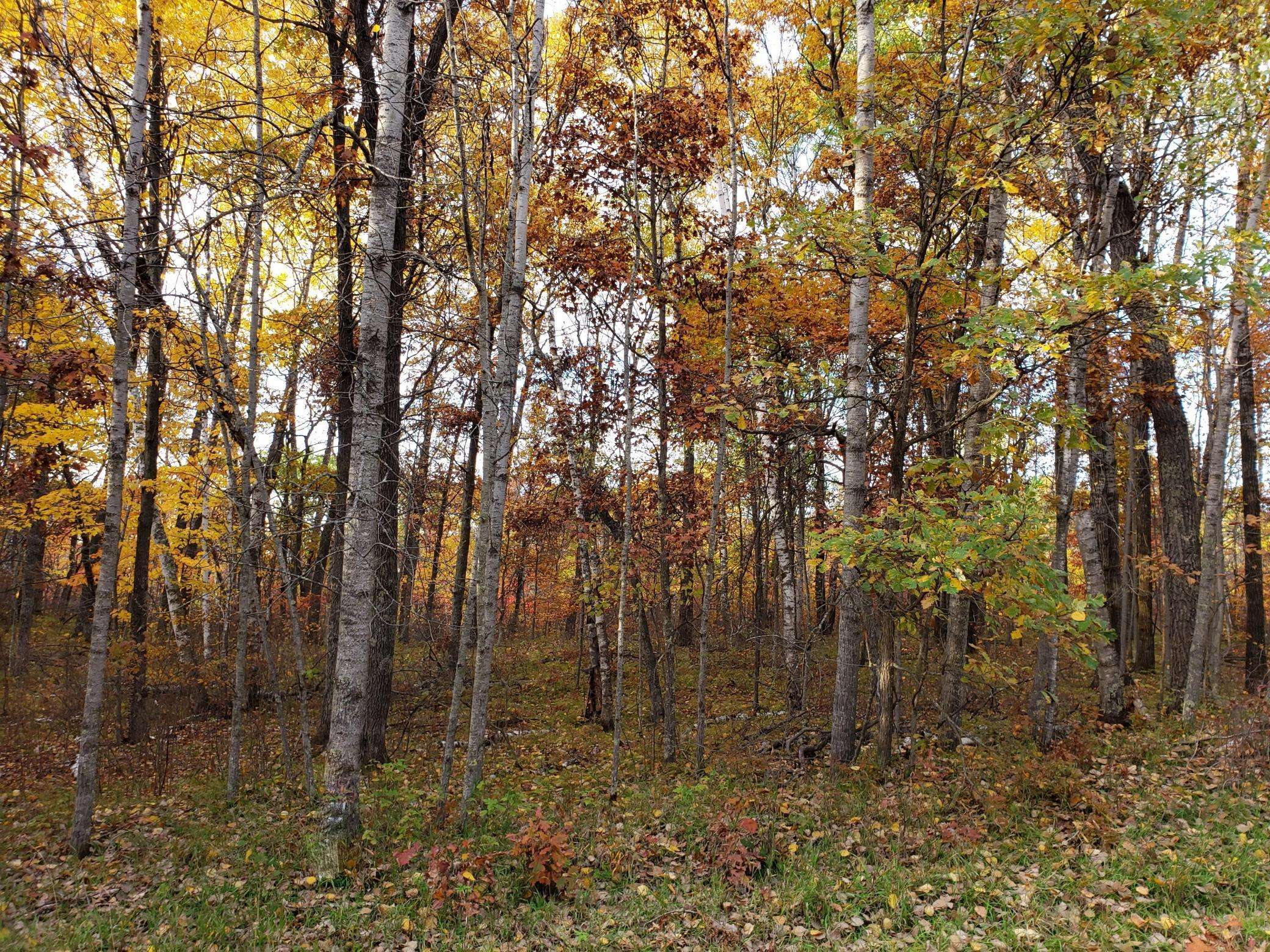 Breezy Point, MN 56472,Lot 10 Blue Ridge Drive