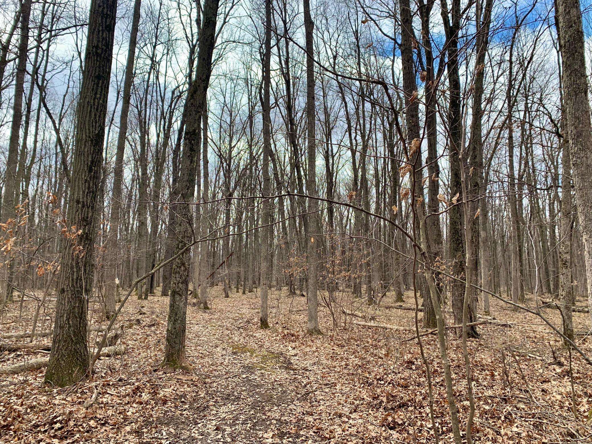 Anson Twp, WI 54729,Lot 9 105th AVE