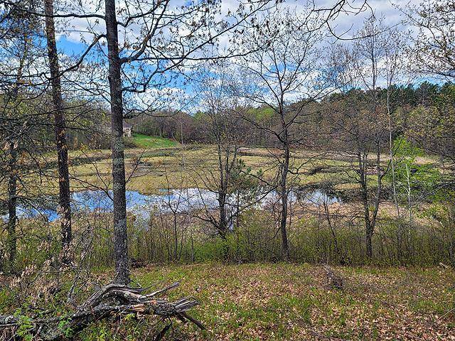 Sturgeon Lake, MN 55783,34500 Settlers Pond Drive