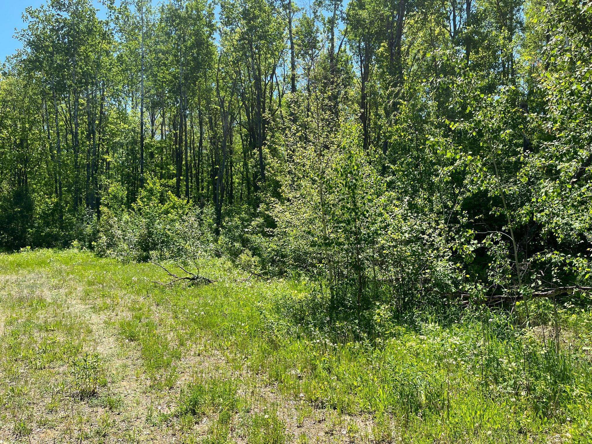 Pequot Lakes, MN 56472,Lot 3 & 4 Mystic CIR