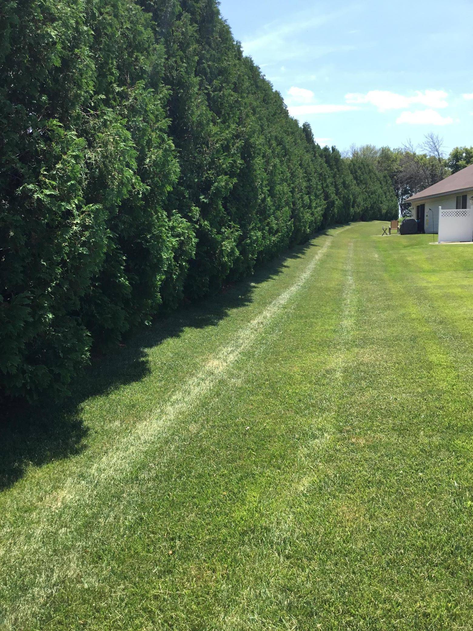 Byron, MN 55920,306 Bear Paw CIR NE