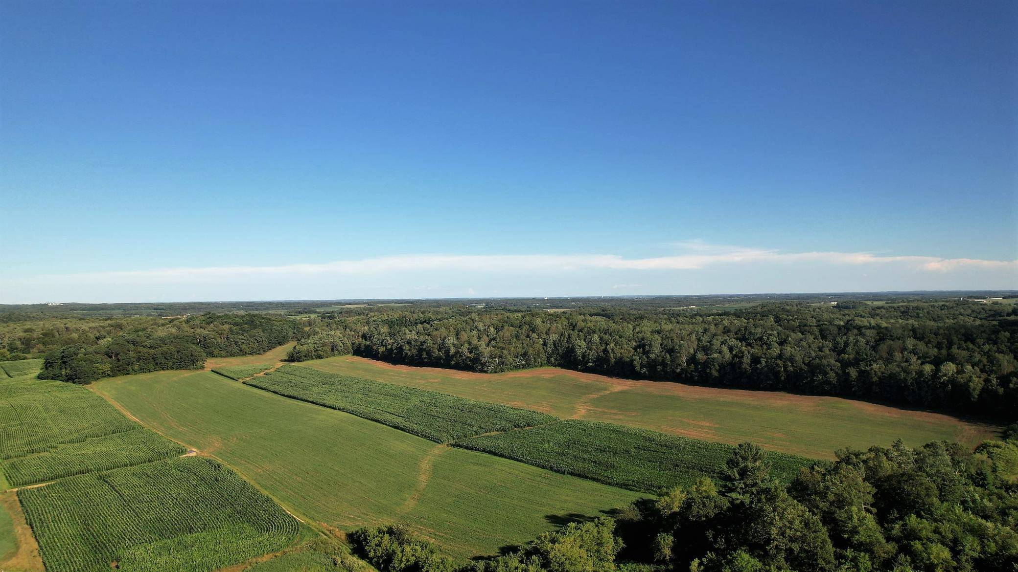 Elk Mound, WI 54739,114 acres County Rd M