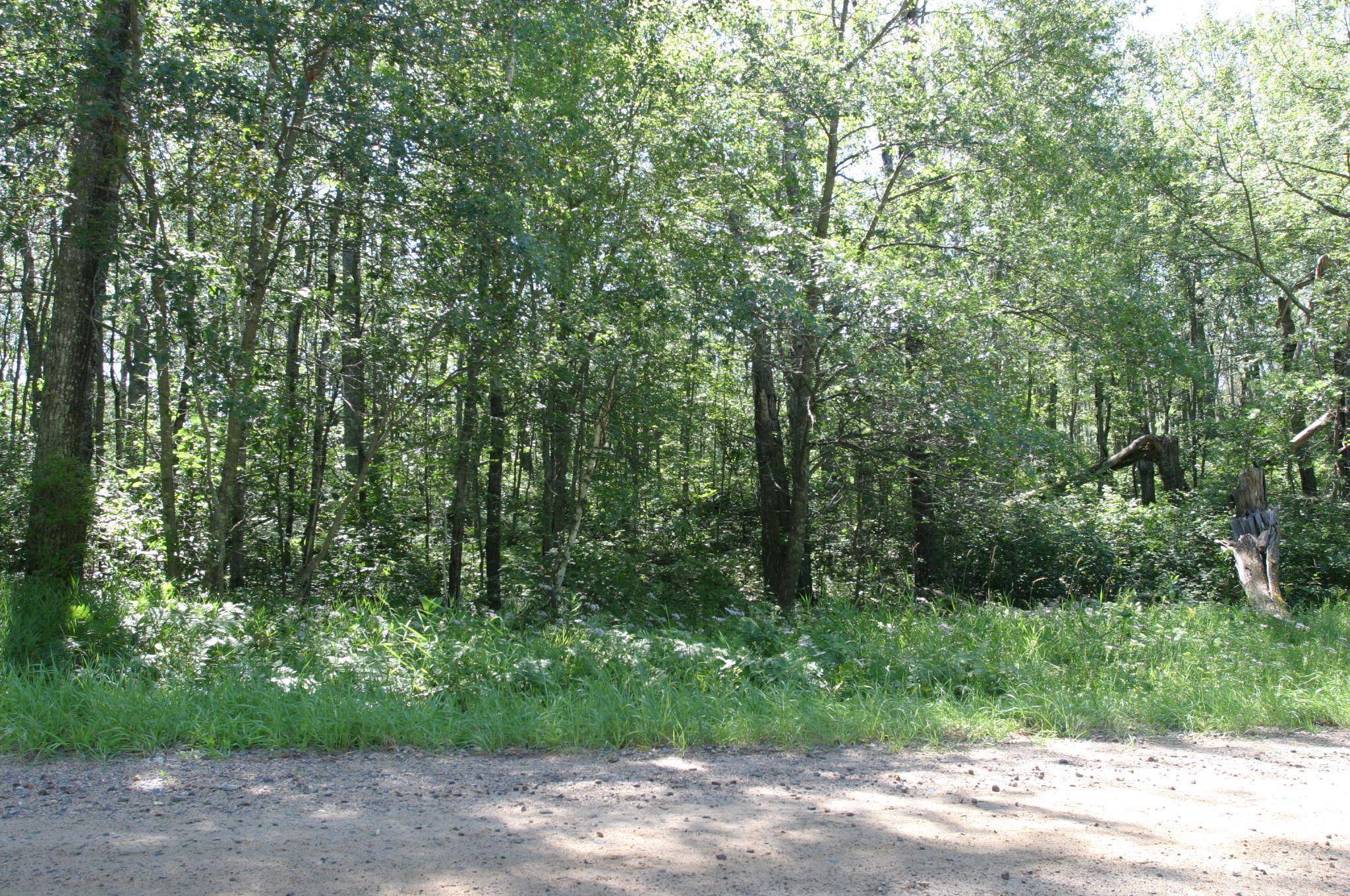 Breezy Point, MN 56472,Lot 6 B 8 Blue Ridge Dr