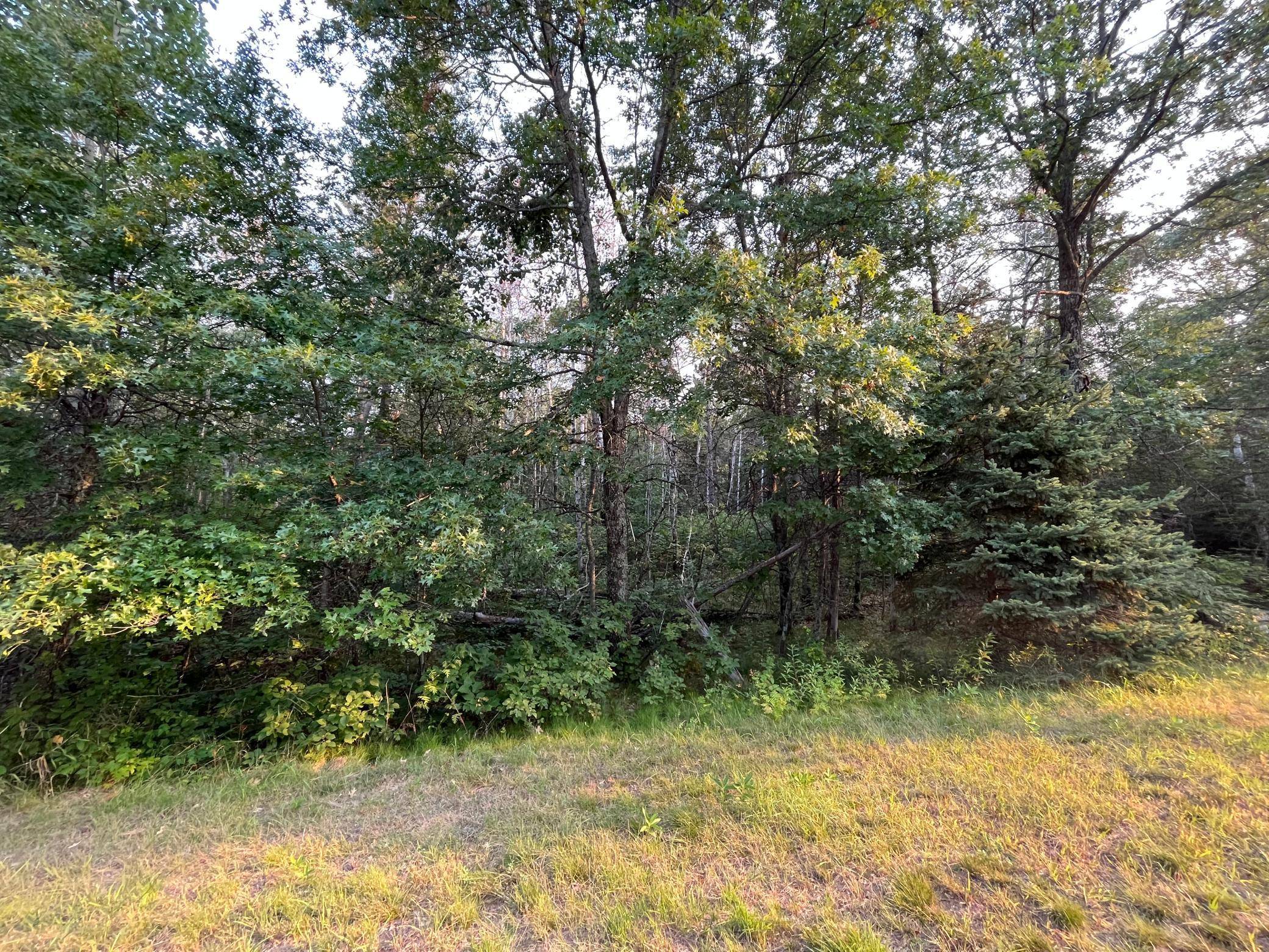 Baxter, MN 56425,Lot 1 B 2 Perch Lake DR