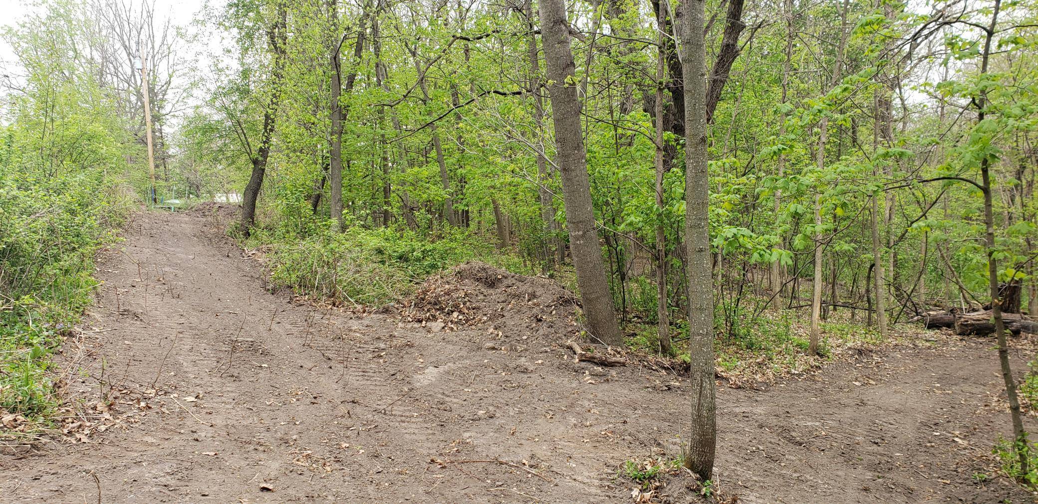 Oronoco, MN 55960,xx 1 ST NW