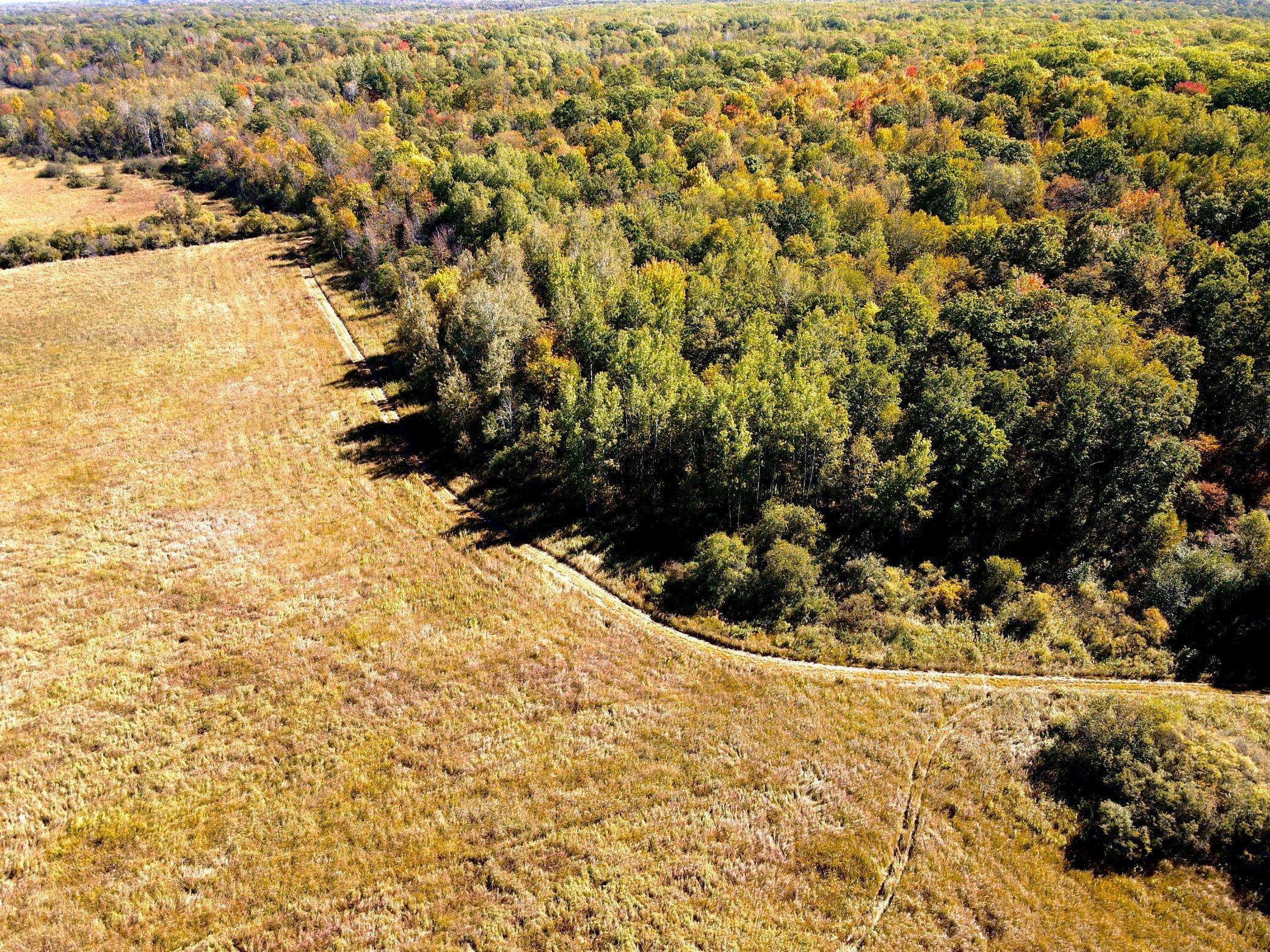 Lakin Twp, MN 56338,XXX(TBD) 93rd ST