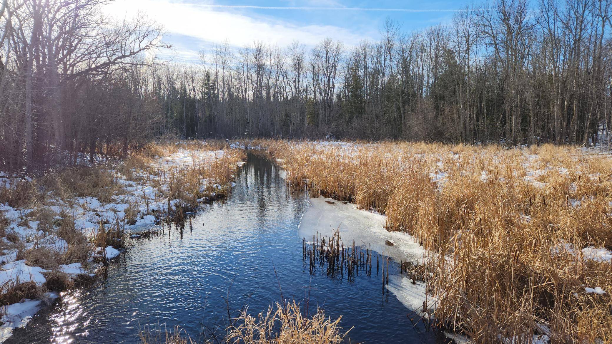 Cohasset, MN 55721,TBD Broderson Rd