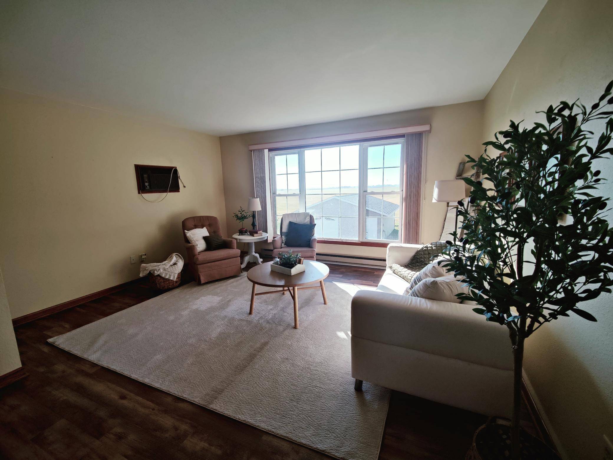 Meire Grove, MN 56352,245 S 1st AVE