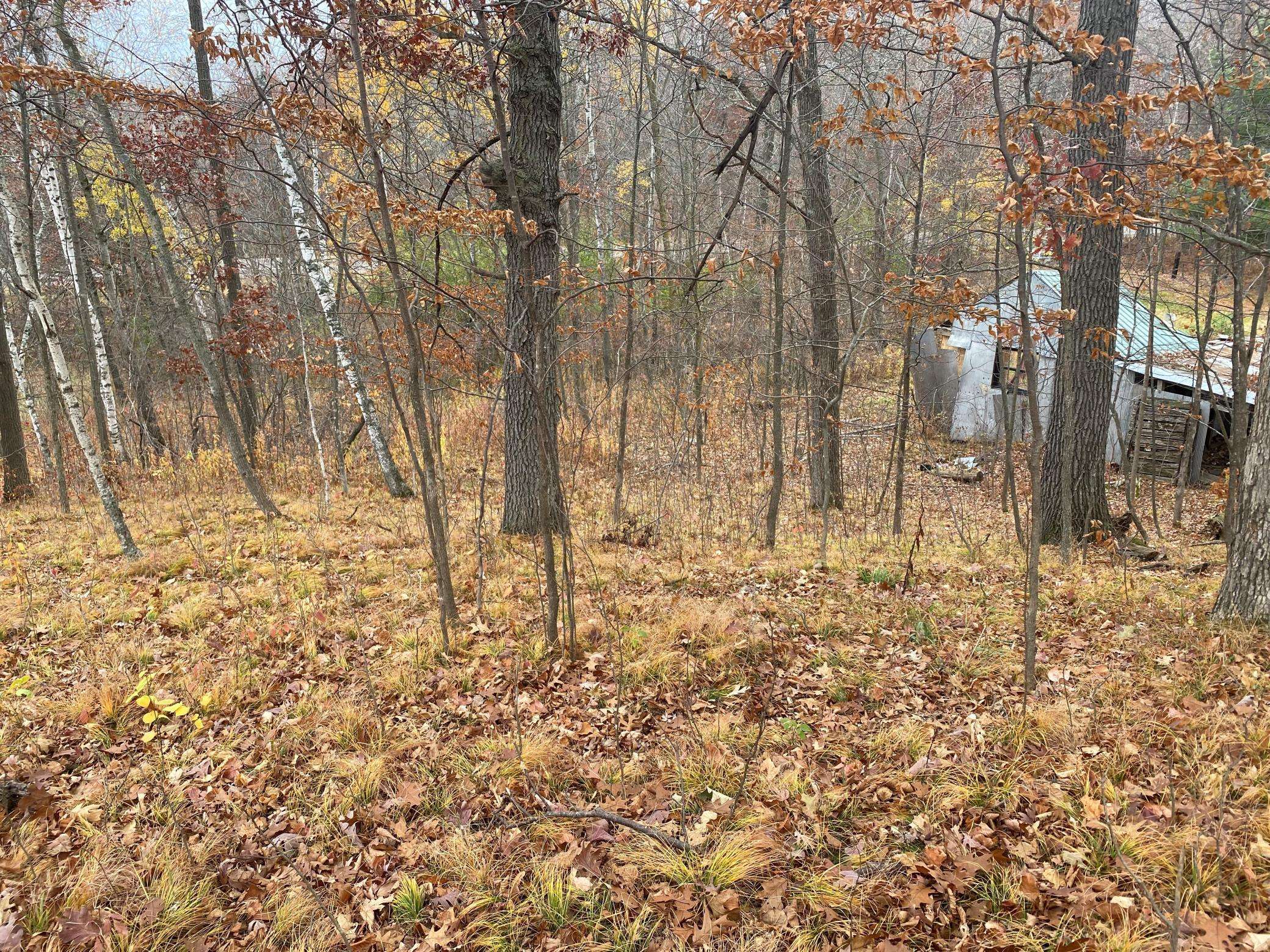 Balsam Lake, WI 54810,Lot 2 Gov Hwy 46