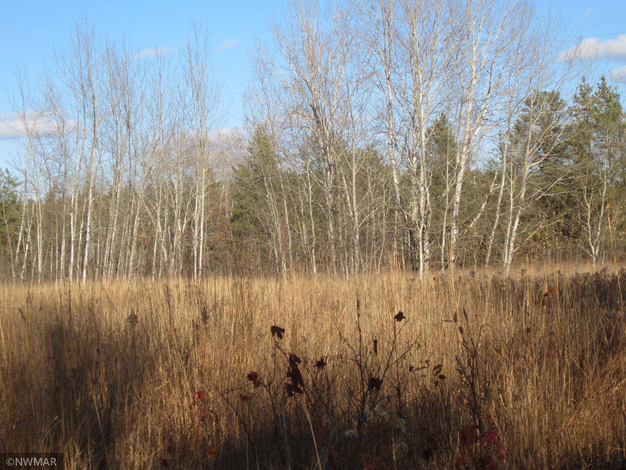 Hendrickson Twp, MN 56461,TBD 346th St